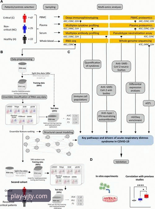 盈嘉体育iOS版下载怎么样 阿根廷友谊赛大捷与专业观赛平台体验详解